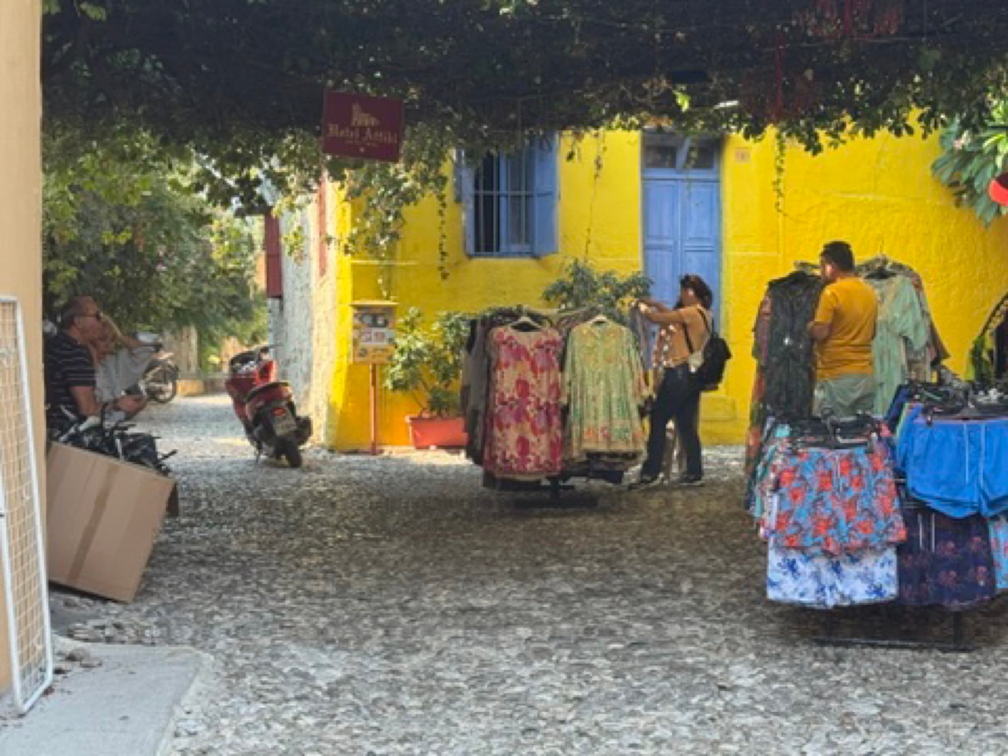 Mediterranean colour, photographed 12 March 2026