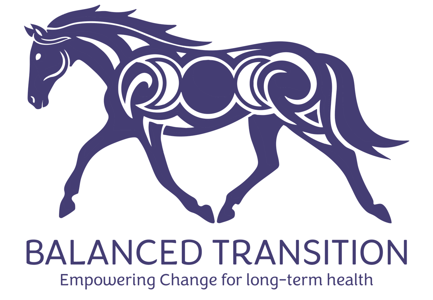 Balanced Transition logo designed by Josh Leist